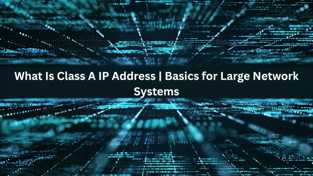 What Is Class A IP Address | Basics for Large Network Systems