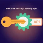 what is an api key