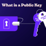 what is a public key