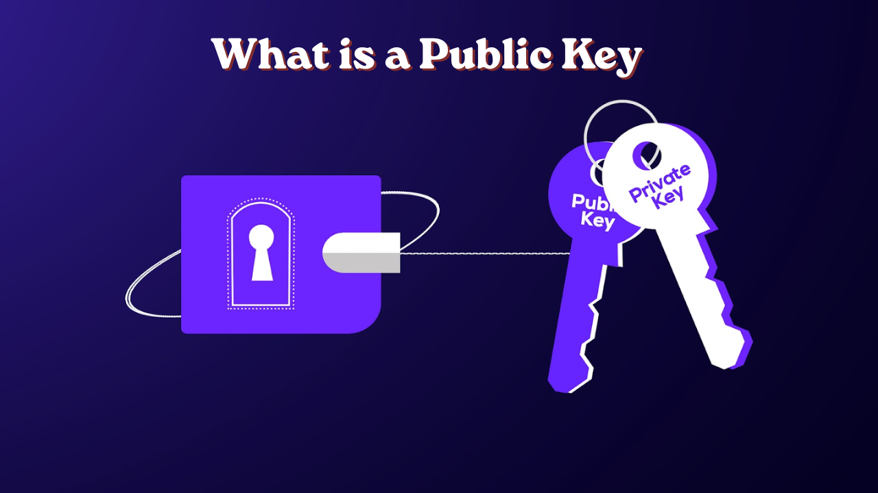 What Is a Public Key and How Does It Secure Data Online