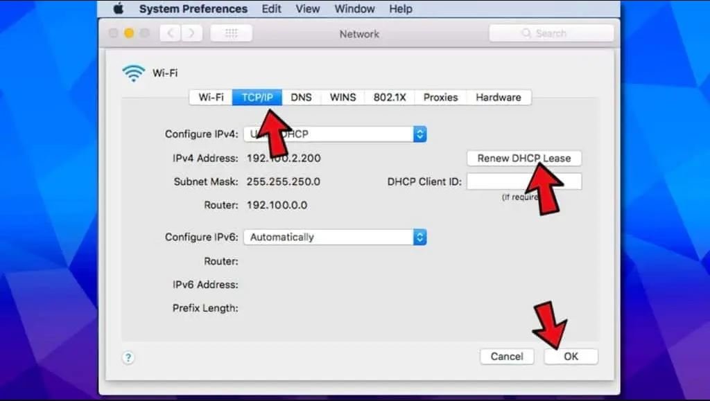 Reset Your TCP/IP Settings to Default